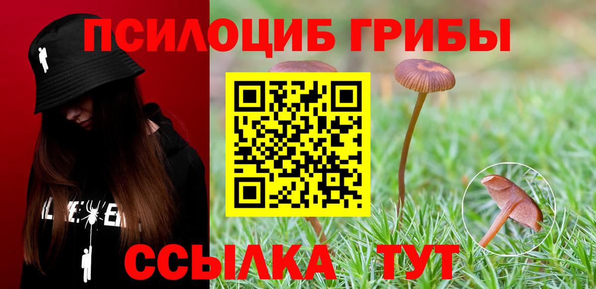 Псилоцибиновые грибы MAGIC MUSHROOMS  где купить   Галлюциногенные грибы MAGIC MUSHROOMS  Горно-Алтайск  Вход с VPN 